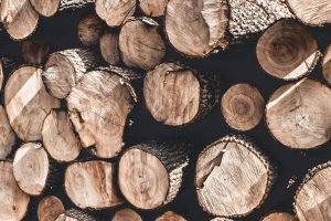 tree stump background